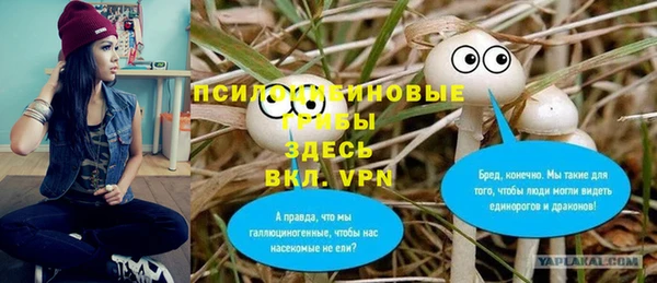 винт Баксан