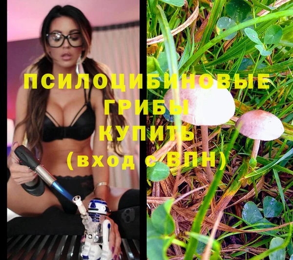 винт Баксан