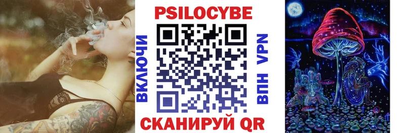Галлюциногенные грибы Psilocybe  купить наркотик  Николаевск 