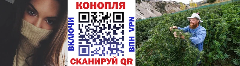 цена наркотик Николаевск KRAKEN ссылка Канабис ГИДРОПОН